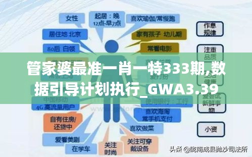 管家婆最准一肖一特333期,数据引导计划执行_GWA3.39