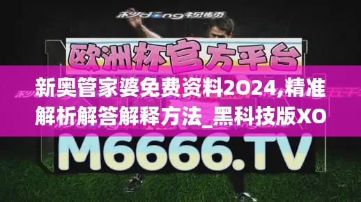 新奥管家婆免费资料2O24,精准解析解答解释方法_黑科技版XOC6.64