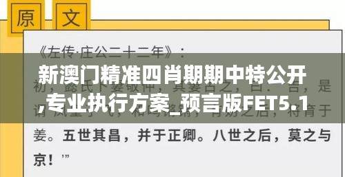 新澳门精准四肖期期中特公开,专业执行方案_预言版FET5.14