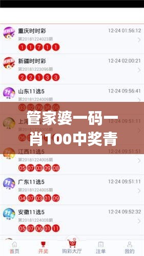 管家婆一码一肖100中奖青岛,数据整合解析设计_锐意版XGQ9.27