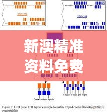 新澳精准资料免费大全,详细剖析计划解答解释_商务版WOA3.55