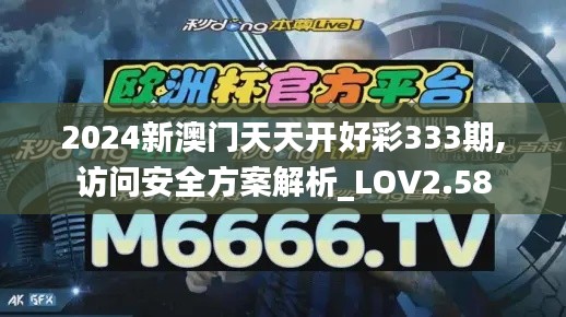 2024新澳门天天开好彩333期,访问安全方案解析_LOV2.58