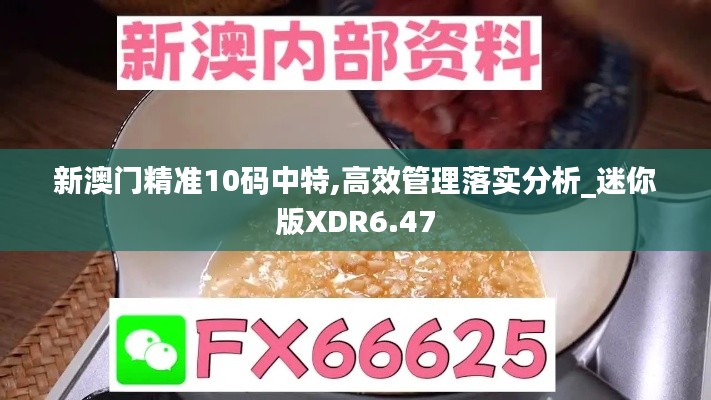 新澳门精准10码中特,高效管理落实分析_迷你版XDR6.47