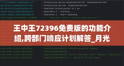 王中王72396免费版的功能介绍,跨部门响应计划解答_月光版XOX5.24