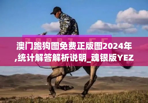 澳门跑狗图免费正版图2024年,统计解答解析说明_魂银版YEZ9.18