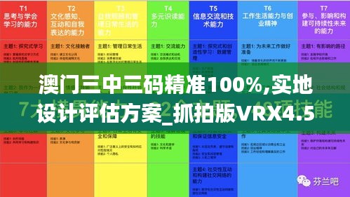 澳门三中三码精准100%,实地设计评估方案_抓拍版VRX4.57