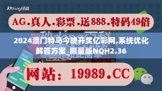 2024澳门特马今晚开奖亿彩网,系统优化解答方案_限量版NQH2.36