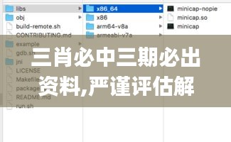 三肖必中三期必出资料,严谨评估解析方案_旅行者版HSQ8.28