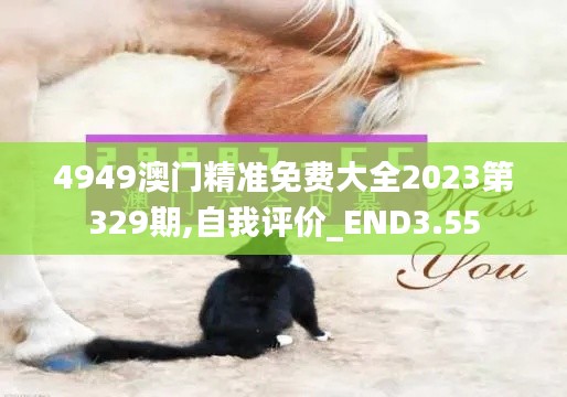 4949澳门精准免费大全2023第329期,自我评价_END3.55