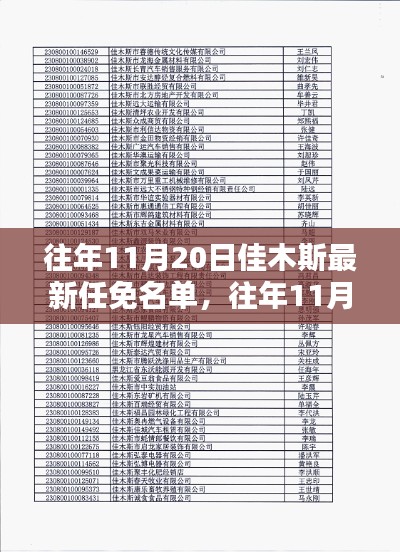 往年11月20日佳木斯任免名单详解及步骤指南