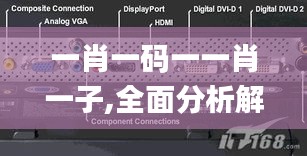 一肖一码一一肖一子,全面分析解答解释措施_未来版DVI4.79