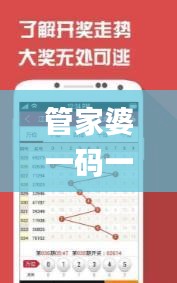 管家婆一码一肖100准,创新策略解答落实_见证版YCP5.13