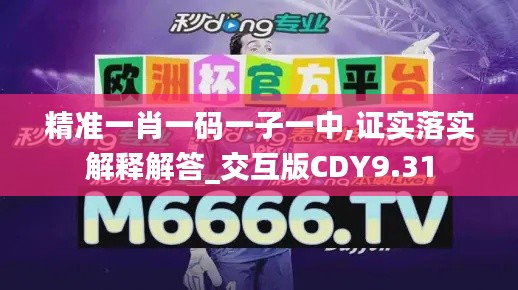 精准一肖一码一子一中,证实落实解释解答_交互版CDY9.31