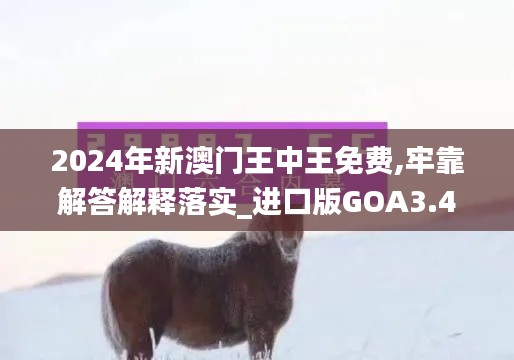 2024年新澳门王中王免费,牢靠解答解释落实_进口版GOA3.43