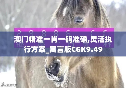 澳门精准一肖一码准确,灵活执行方案_寓言版CGK9.49