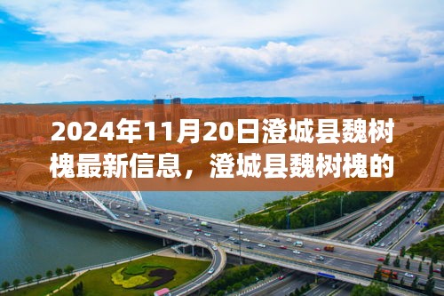 2024年澄城县魏树槐的最新动态与温馨时光纪事