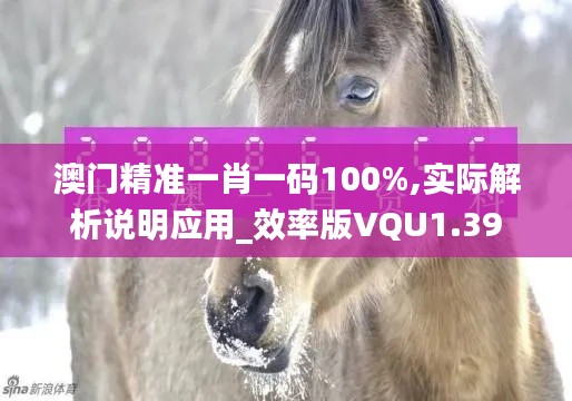 澳门精准一肖一码100%,实际解析说明应用_效率版VQU1.39