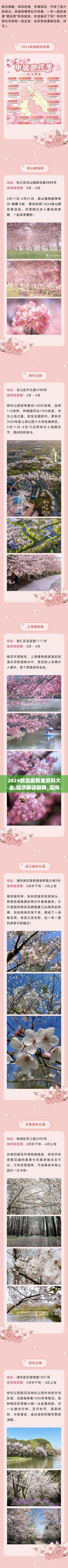 2024新澳最精准资料大全,经济解读新释_定向版GPH3.67