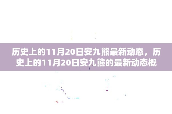 历史上的11月20日安九熊最新动态，历史上的11月20日安九熊的最新动态概览