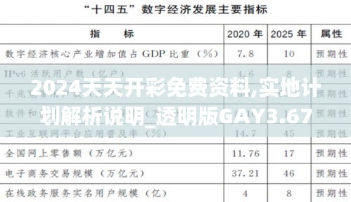 2024天天开彩免费资料,实地计划解析说明_透明版GAY3.67