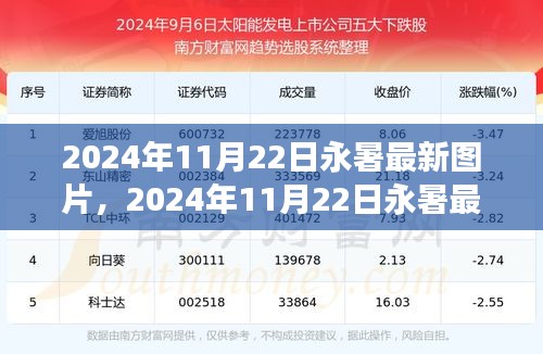 永暑最新图片展示，2024年11月22日最新照片