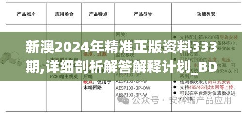 新澳2024年精准正版资料333期,详细剖析解答解释计划_BDL4.49