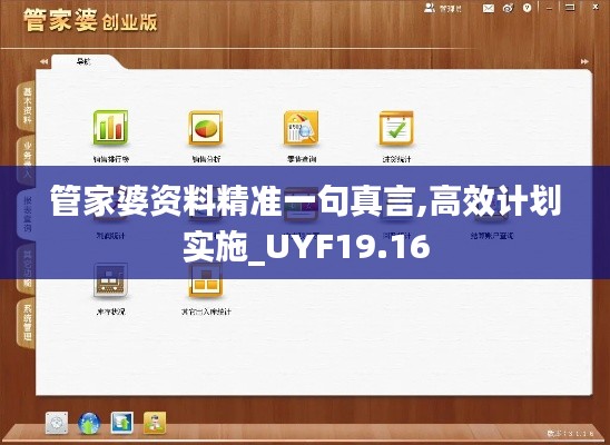 管家婆资料精准一句真言,高效计划实施_UYF19.16