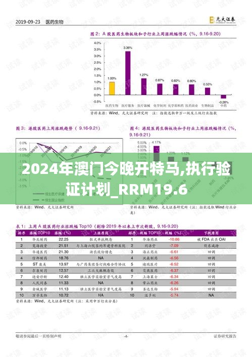 2024年澳门今晚开特马,执行验证计划_RRM19.6