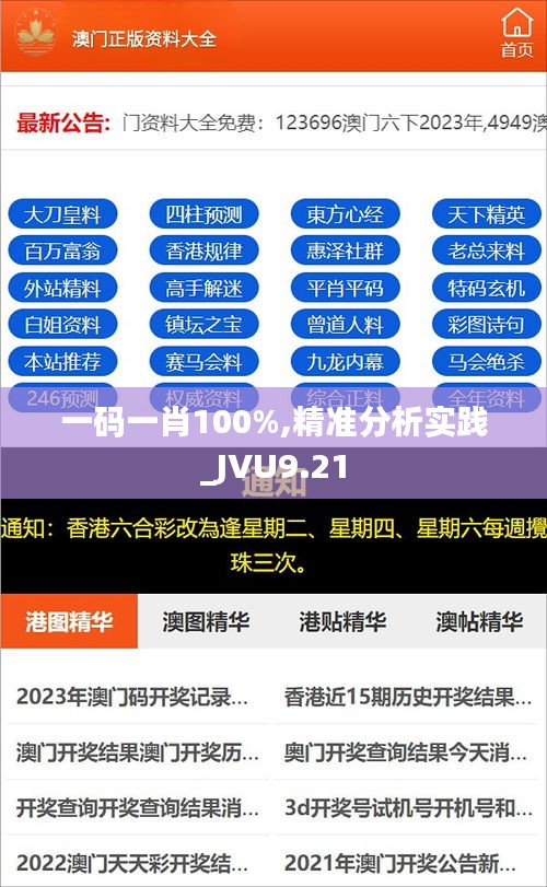 一码一肖100%,精准分析实践_JVU9.21