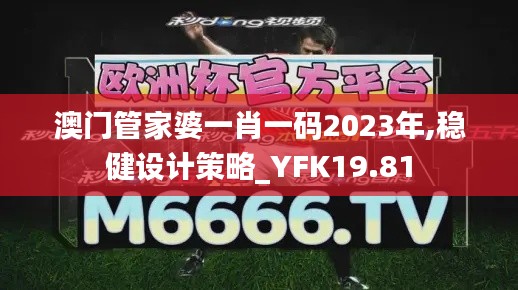 澳门管家婆一肖一码2023年,稳健设计策略_YFK19.81