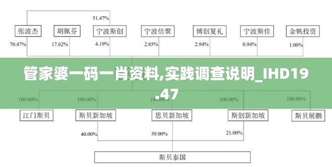 管家婆一码一肖资料,实践调查说明_IHD19.47