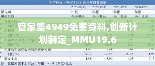 管家婆4949免费资料,创新计划制定_MMU19.6