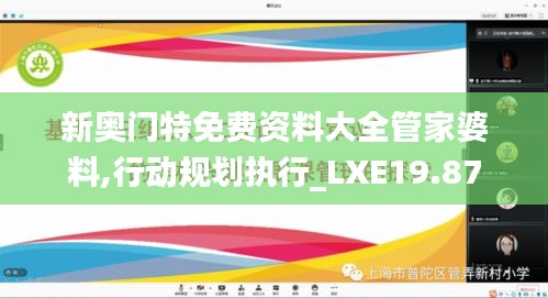 新奥门特免费资料大全管家婆料,行动规划执行_LXE19.87