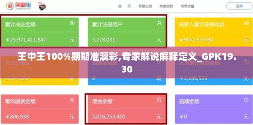 王中王100%期期准澳彩,专家解说解释定义_GPK19.30