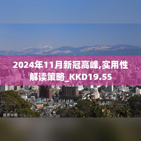 2024年11月新冠高峰,实用性解读策略_KKD19.55