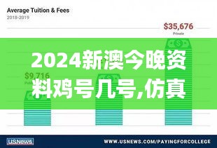 2024新澳今晚资料鸡号几号,仿真方案实施_XAS19.1