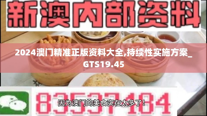 2024澳门精准正版资料大全,持续性实施方案_GTS19.45