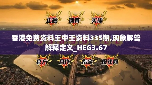 香港免费资料王中王资料335期,现象解答解释定义_HEG3.67