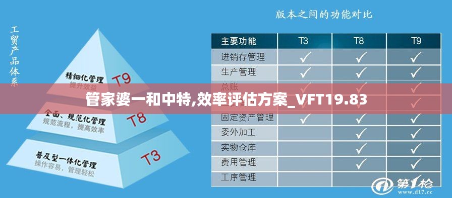 管家婆一和中特,效率评估方案_VFT19.83