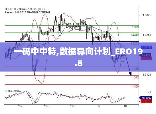 一码中中特,数据导向计划_ERO19.8