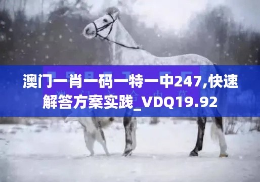 澳门一肖一码一特一中247,快速解答方案实践_VDQ19.92