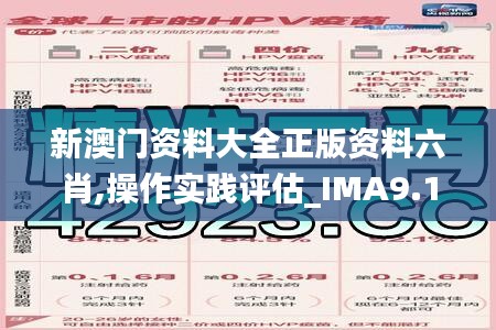 新澳门资料大全正版资料六肖,操作实践评估_IMA9.14