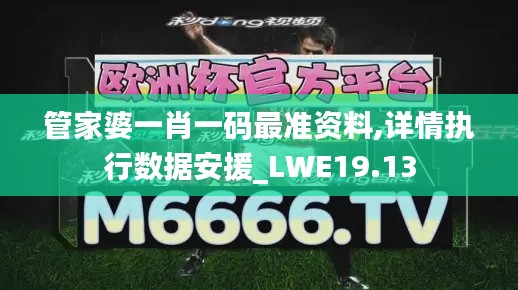 管家婆一肖一码最准资料,详情执行数据安援_LWE19.13