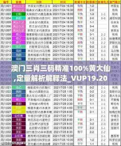 澳门三肖三码精准100%黄大仙,定量解析解释法_VUP19.20