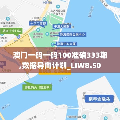 澳门一码一码100准确333期,数据导向计划_LIW8.50