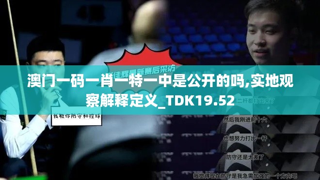 澳门一码一肖一特一中是公开的吗,实地观察解释定义_TDK19.52