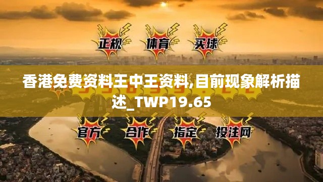 香港免费资料王中王资料,目前现象解析描述_TWP19.65