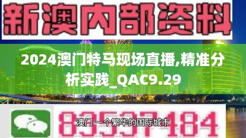 2024澳门特马现场直播,精准分析实践_QAC9.29