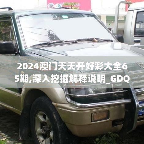 2024澳门天天开好彩大全65期,深入挖掘解释说明_GDQ19.41