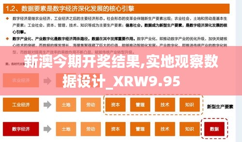 新澳今期开奖结果,实地观察数据设计_XRW9.95